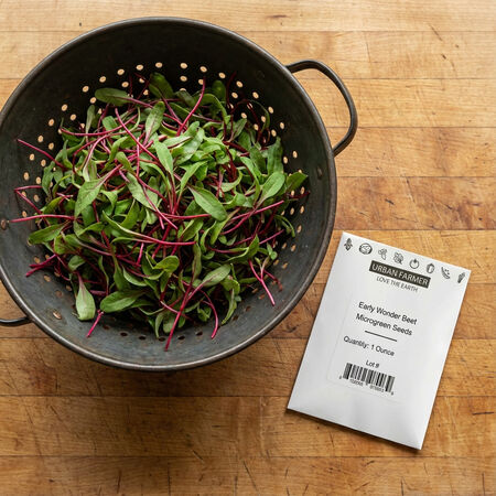 Early Wonder Beet, Microgreen Seeds - 1/4 Pound image number null